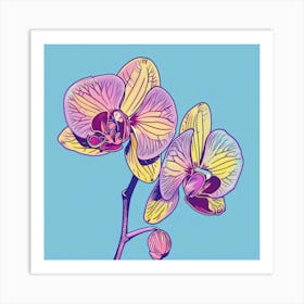 Orchids 20 Art Print