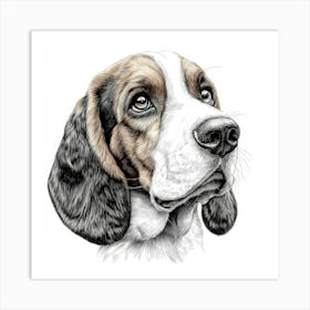 Basset Hound Art Print