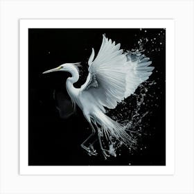 White Egret 2 Art Print