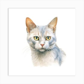 Burmilla Shorthair Cat Portrait Art Print