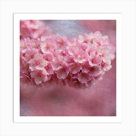 Pink Cherry Blossoms 1 Art Print