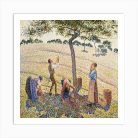 Apricots In The Orchard Art Print