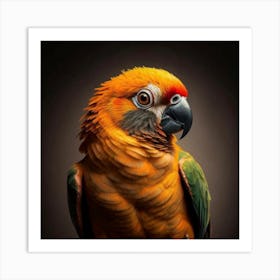 Parrot Portrait 1 Art Print