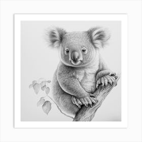 Koala,cute koala animal drawing realistic Art Print