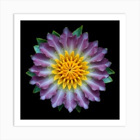 Purple Lotus Flower Art Print