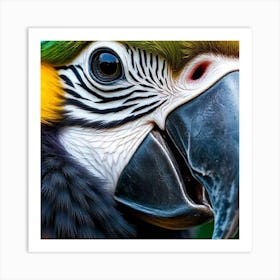 Vivid Gaze: Portrait of a Parrot 1 Art Print