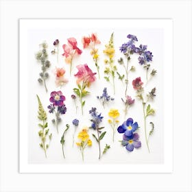 Dried Wild Flowers 25 Art Print