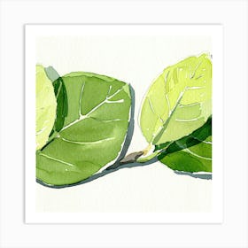 Green Leaves On A Branch Art Print