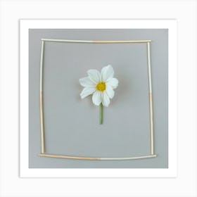 Daisy In Frame Botanical Photography Art Print