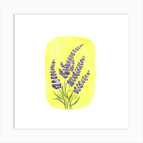 Lavender Flowers Art Print