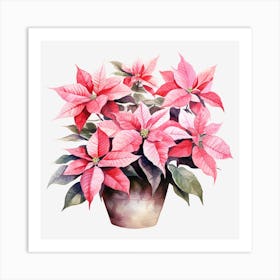 Poinsettia In A Pot Art Print