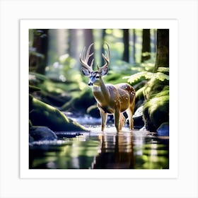 Deer In The Stream Art Print