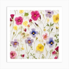 Dried Wild Flowers 7 Art Print