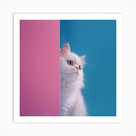 White Cat Peeking Out Of The Corner 1 Art Print