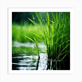 Grass Plant Reed Green Background Nature Closeup Garden Flora Growth Leaf Summer Spring (6) Art Print