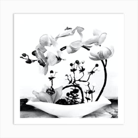 Orchid Art Black And White Art Print