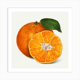 Tangerine 1 Art Print