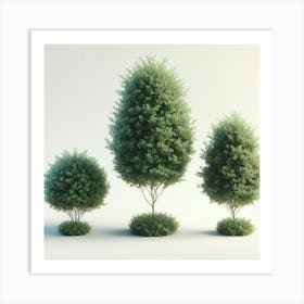 Three Trees 1 Art Print