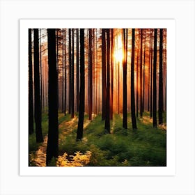 Sunrise In The Forest 30 Art Print