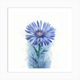 Blue Daisy Art Print