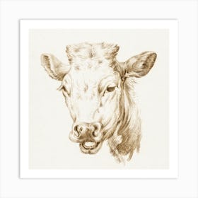 Head Of A Cow 1, Jean Bernard Art Print