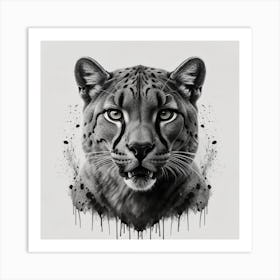 Lynx Canvas Print Art Print