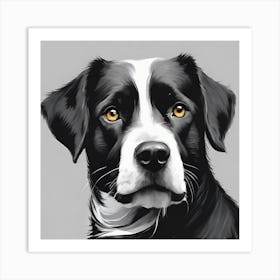 Border Collie Art Print