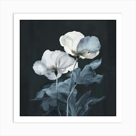 Two White Flowers Art Print