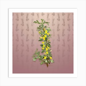 Vintage Caragana Spinosa Botanical on Dusty Pink Pattern n.2549 Art Print