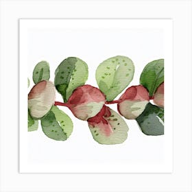 Eucalyptus Leaves Art Print