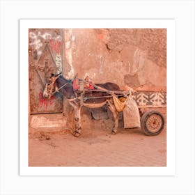 Moroccan Donkey Square Art Print