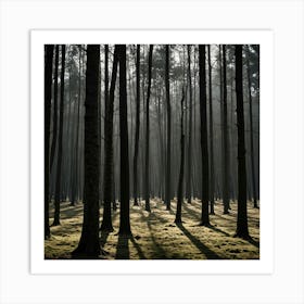 Dark Forest 111 Art Print