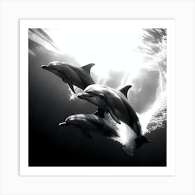 Dolphins In The Water Art Print