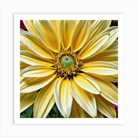 Dahlia 8 Art Print