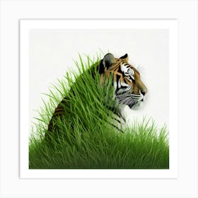 Tiger In Grass 1 Art Print