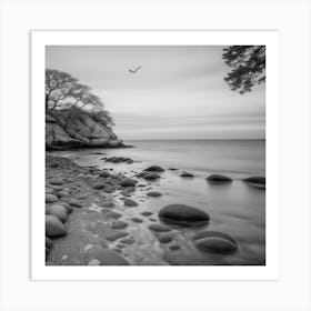 Rocky Shore Art Print