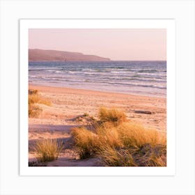 Sand Dunes On The Beach Art Print