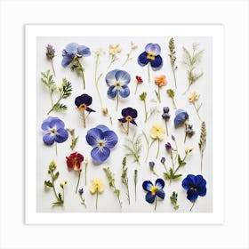 Dried Wild Flowers 17 Art Print