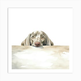 Weimaraner Dog 3 Art Print