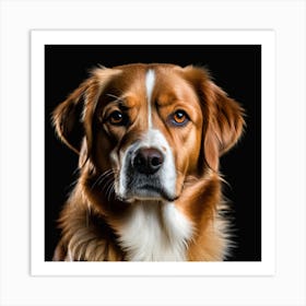 Portrait Of A Dog 4 Art Print