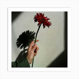 Shadow Of A Flower Art Print