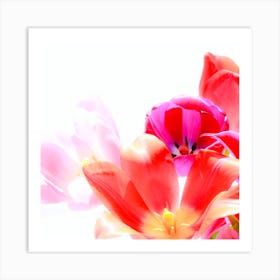 Tulips 1 Art Print