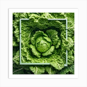 Green Cabbage In A Square Frame Art Print