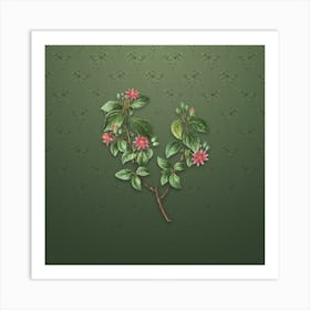 Vintage Crossberry Botanical on Lunar Green Pattern n.0901 Art Print