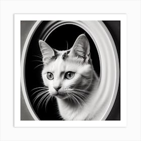 Black And White Cat Portrait Art Print