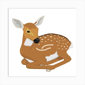 Fawn A Art Print