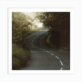 Road In The Woods Art Print