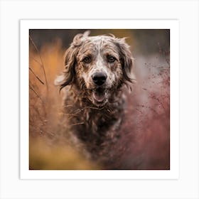 Dog In The Grass Art Print