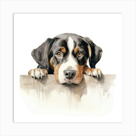 Bernese Dog 3 Art Print