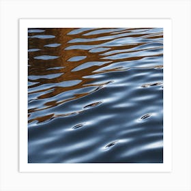 Reflections In Water Art Print